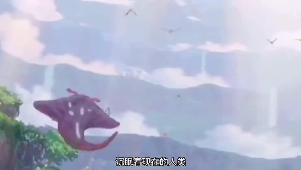 探索现在卖微波炉加热蒸笼为什么不能蒸生的食物,是材料的事吗?